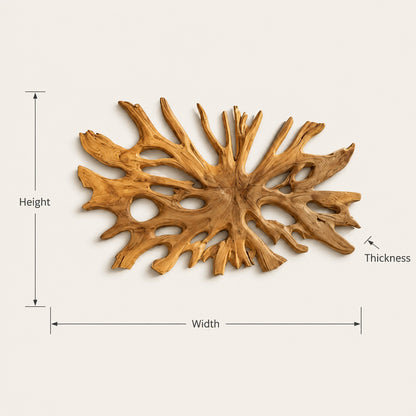 Biomorphic Branch Wall Art in Natural Solid Wood for Modern Spaces - Woodenecho - 7